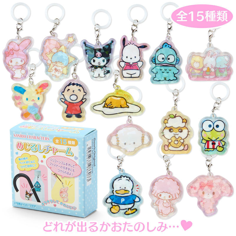 Keychain Secret Mejirushi Charm Sanrio Characters B